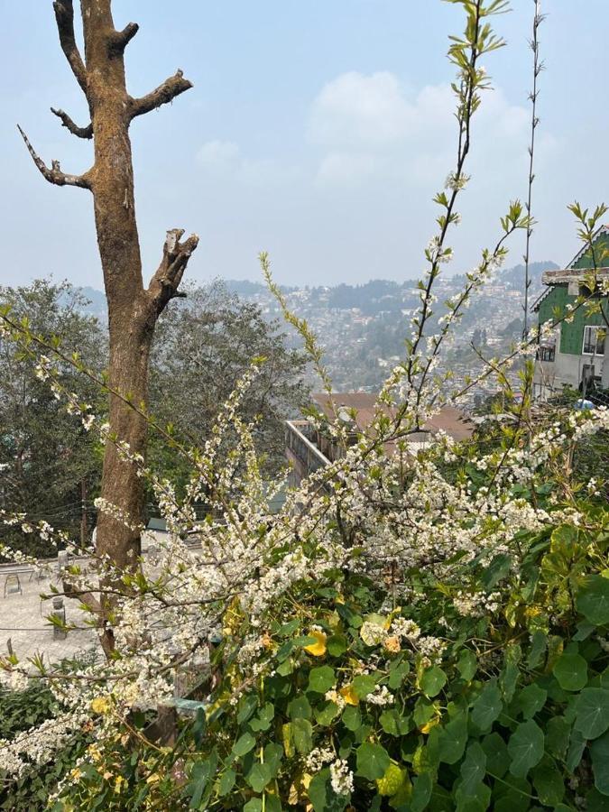 Darjeeling Bnb Exterior foto